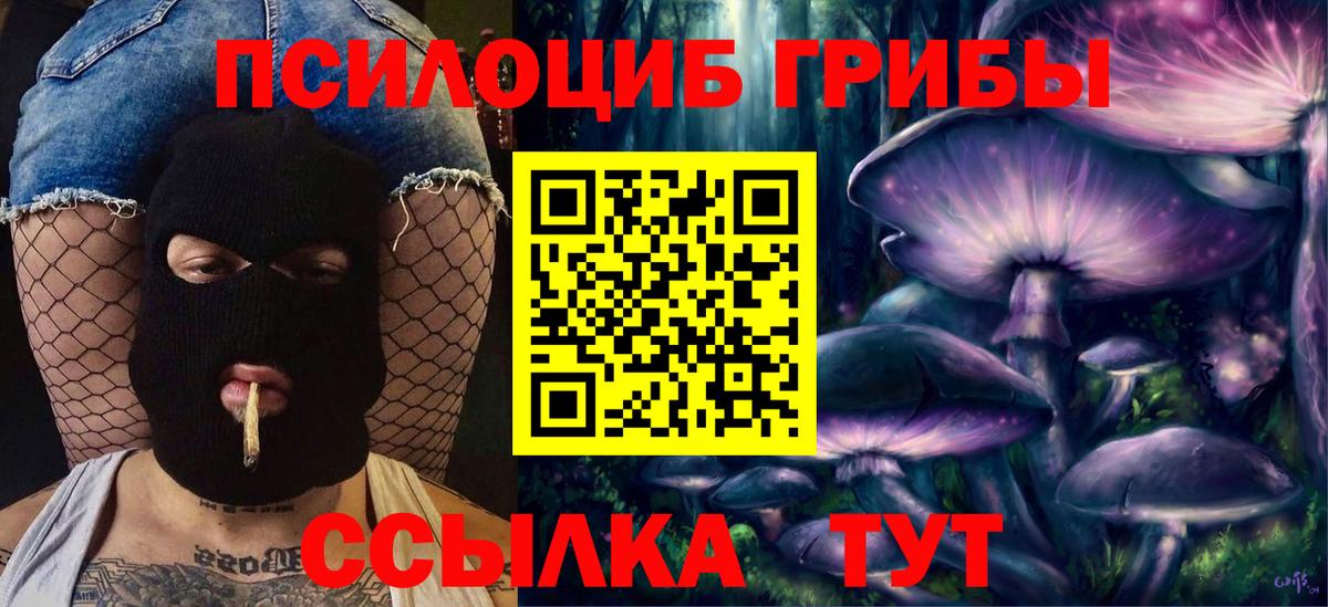 Галлюциногенные грибы мухоморы Грозный