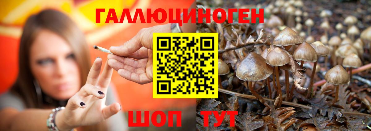 Грозный  Галлюциногенные грибы Magic Shrooms  Вход с VPN  Псилоцибиновые грибы мухоморы 
